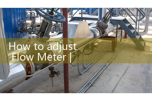 Type of mass flow meter